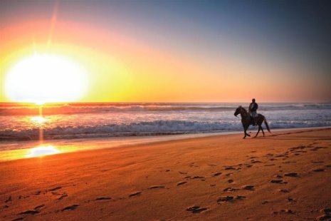 Rutas a caballo en Bolonia